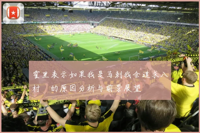 霍里表示如果我是马刺我会追求八村塁的原因分析与前景展望